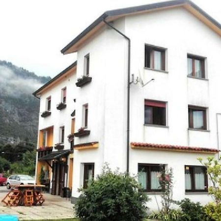 Albergo Alla Pineta Villa Santina 外观 照片