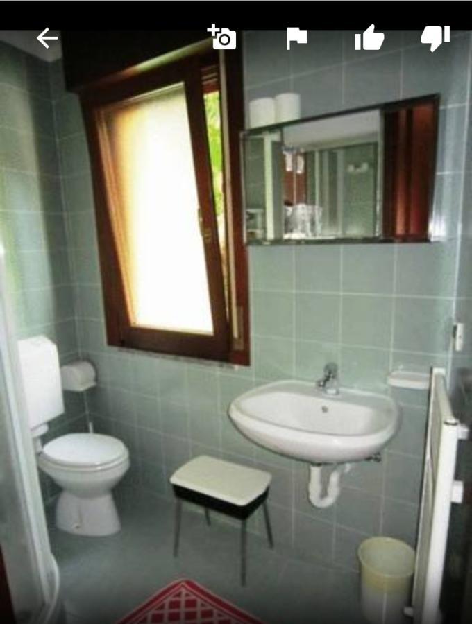 Albergo Alla Pineta Villa Santina 外观 照片